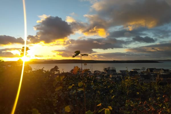House sit in Largs, United Kingdom