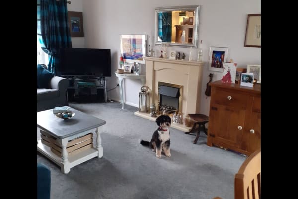 House sit in Retford, United Kingdom