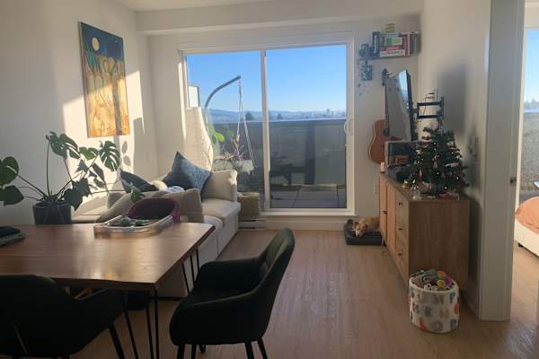 House sit in Vancouver, BC, Canada