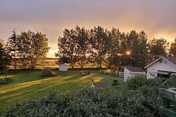 House sit in Camrose, AB, Canada