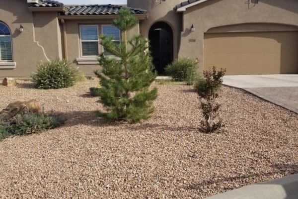 House sit in Albuquerque, NM, US