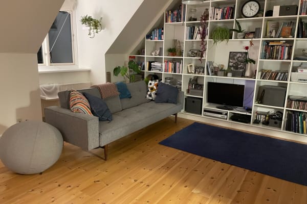 House sit in Copenhagen, Denmark