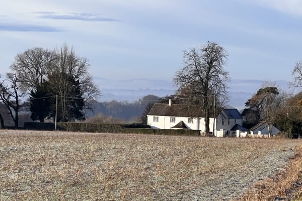 House sit in Andover, United Kingdom