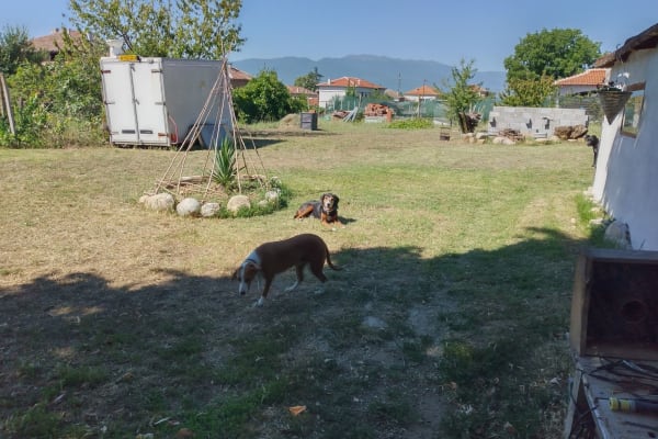 House sit in Kapatovo, Bulgaria