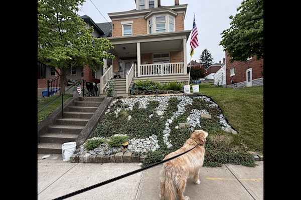 House sit in Pittsburgh, PA, US