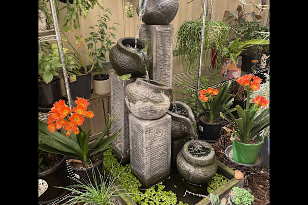 House sit in Roxby Downs, SA, Australia