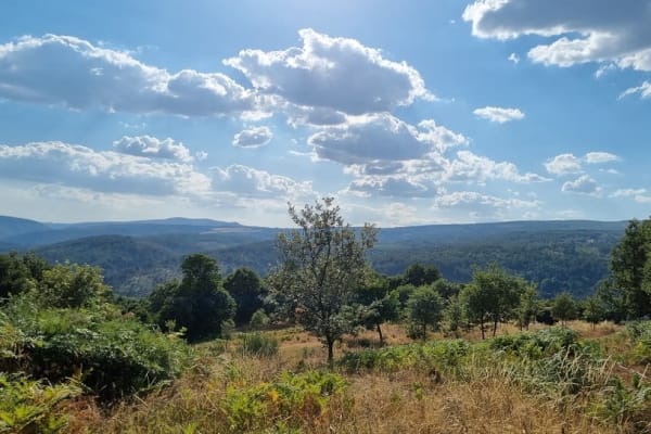 House sit in Meios, Portugal