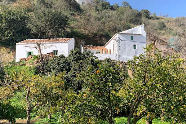 House sit in Comares, Spain