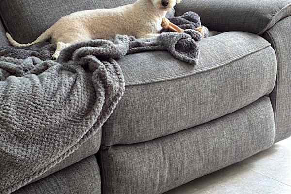 House sit in Navan, Ireland