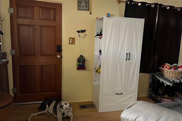 House sit in Albuquerque, NM, US