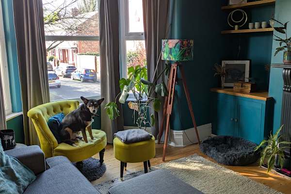 House sit in Manchester, United Kingdom