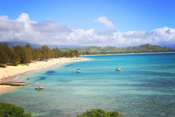 House sit in Kailua, HI, US