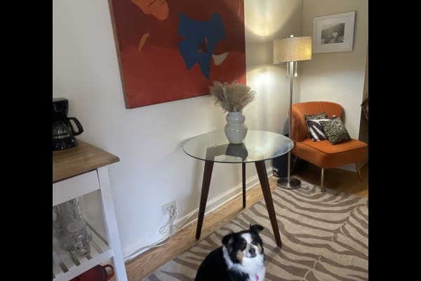 House sit in New York City, NY, US