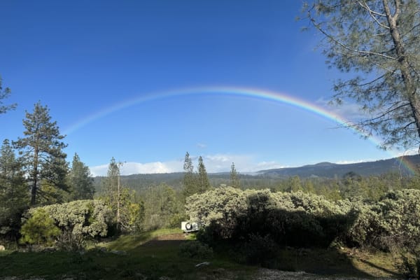 House sit in Grass Valley, CA, US