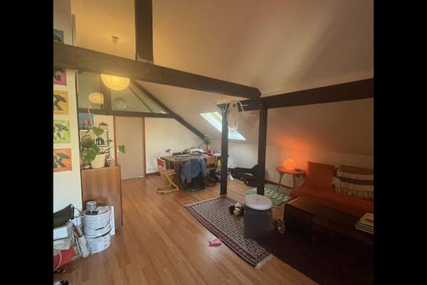 House sit in Paris, France