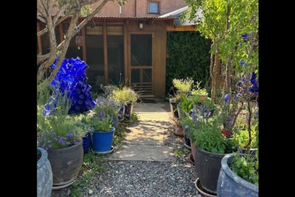 House sit in Silver City, NM, US