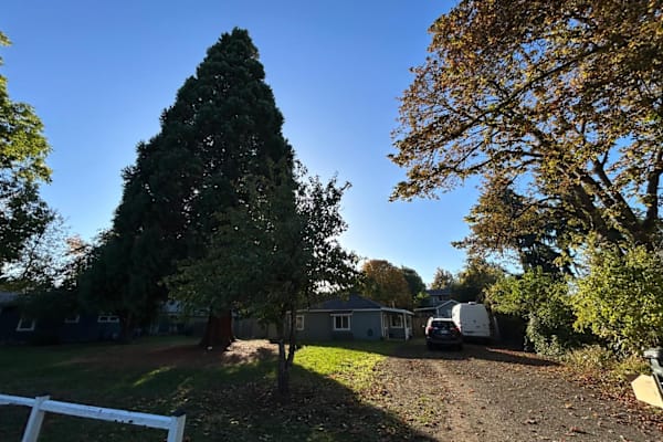 House sit in Eugene, OR, US