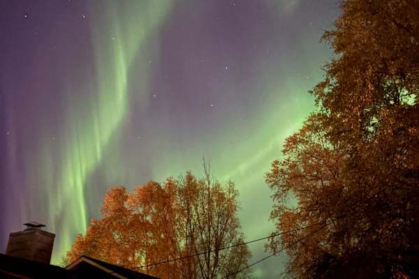 House sit in Anchorage, AK, US