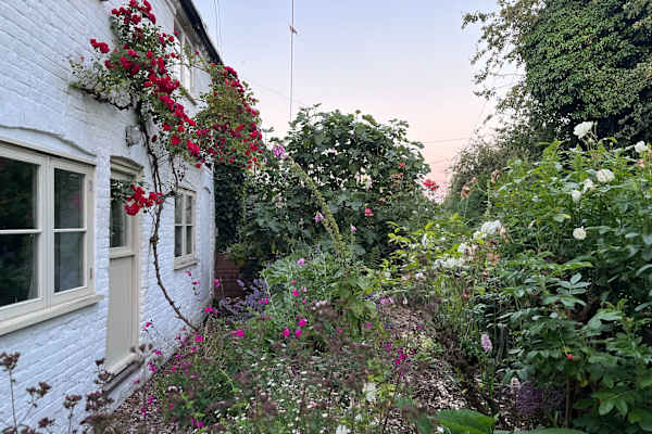 House sit in Beccles, United Kingdom