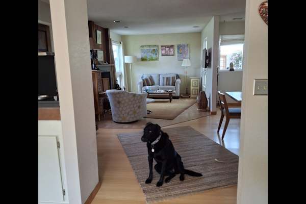 House sit in Morro Bay, CA, US