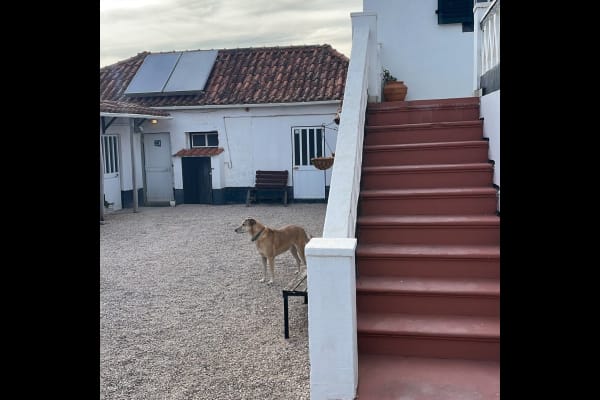 House sit in Alvaiázere, Portugal