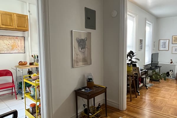 House sit in New York City, NY, US