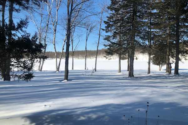 House sit in Hartington, ON, Canada