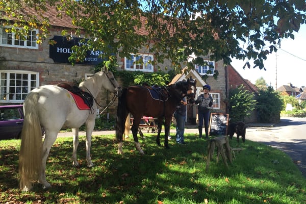 House sit in Midhurst, United Kingdom