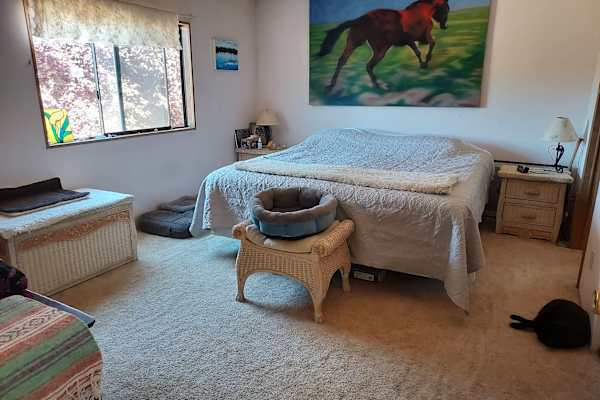 House sit in Redding, CA, US