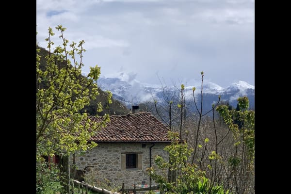 House sit in Cangas de Onís, Spain