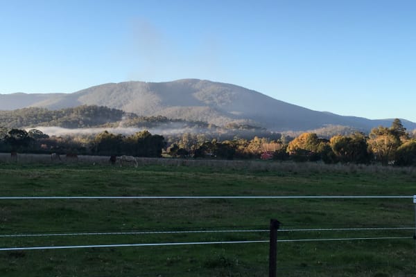 House sit in Healesville, VIC, Australia