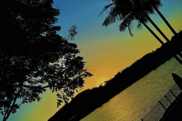 House sit in Gold Coast, QLD, Australia