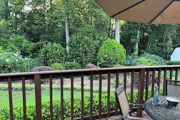 House sit in Atlanta, GA, US