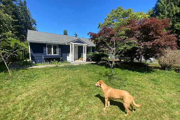 House sit in Sequim, WA, US