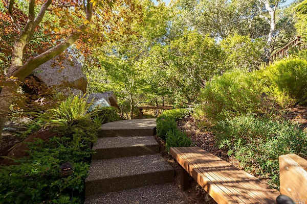 House sit in Mill Valley, CA, US