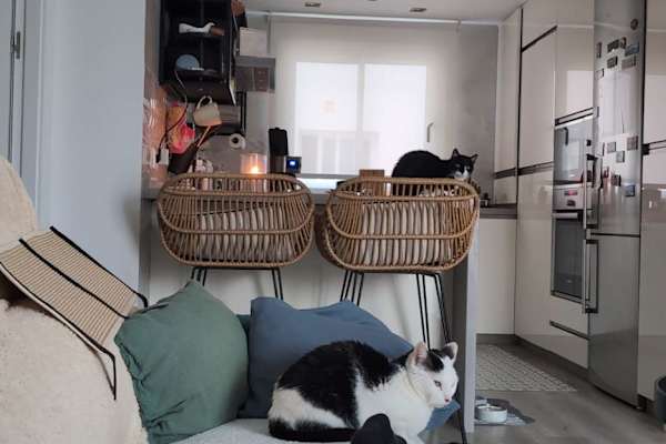 House sit in Cártama, Spain