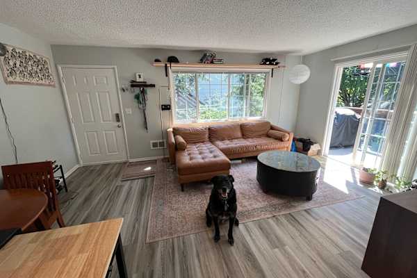 House sit in Portland, OR, US