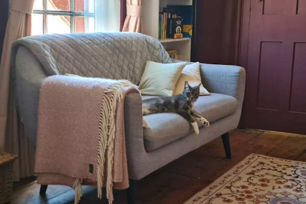 House sit in Portsmouth, United Kingdom