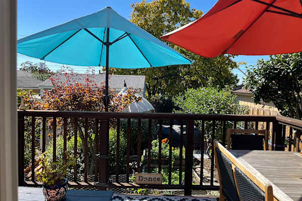 House sit in El Cerrito, CA, US