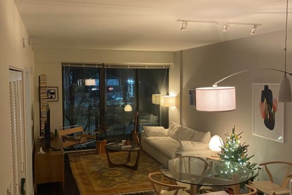 House sit in Chicago, IL, US