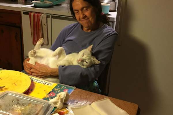 House sit in Woodstock, NY, US