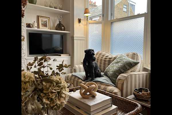 House sit in Whitstable, United Kingdom