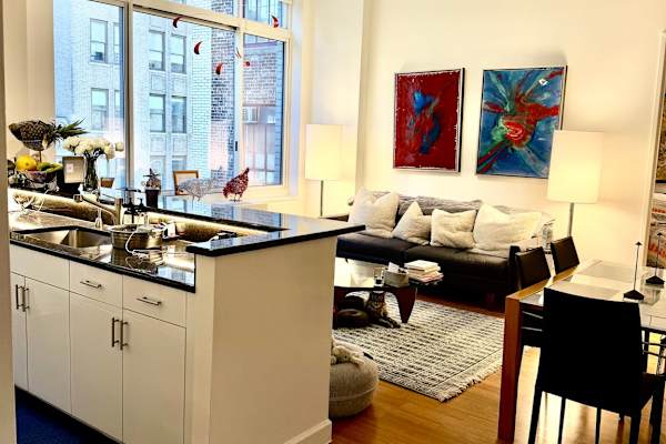 House sit in New York City, NY, US