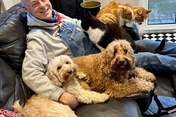 House sit in Dundee, United Kingdom