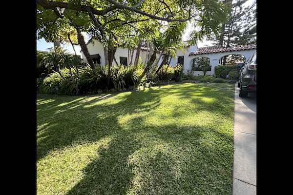 House sit in Santa Monica, CA, US