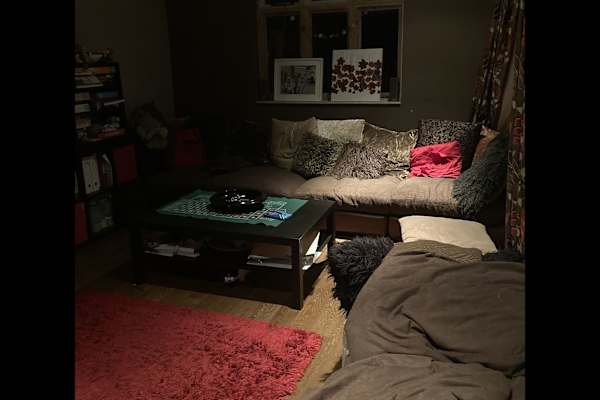 House sit in Exning, United Kingdom