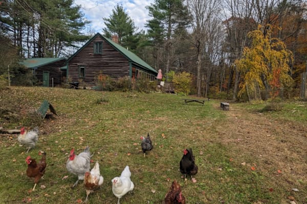 House sit in Gray, ME, US