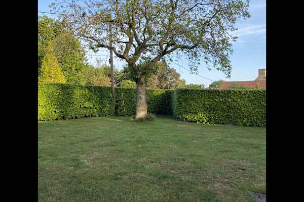 House sit in Bicester, United Kingdom