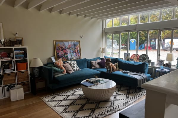 House sit in Chichester, United Kingdom