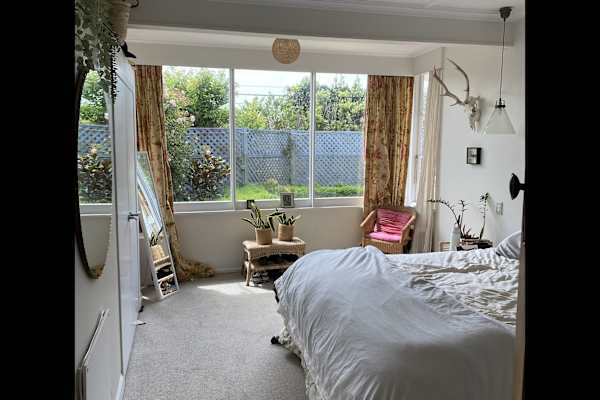 House sit in Wellington, New Zealand